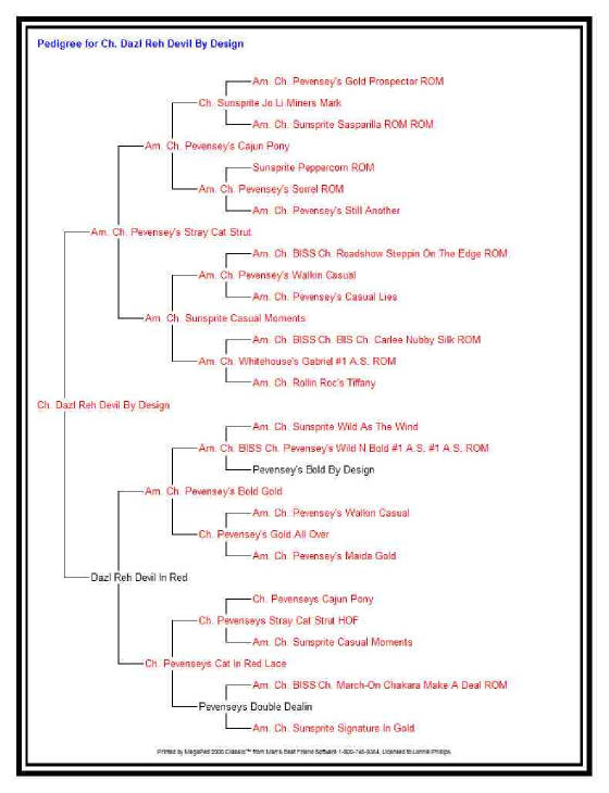 TomPedigree.jpg
