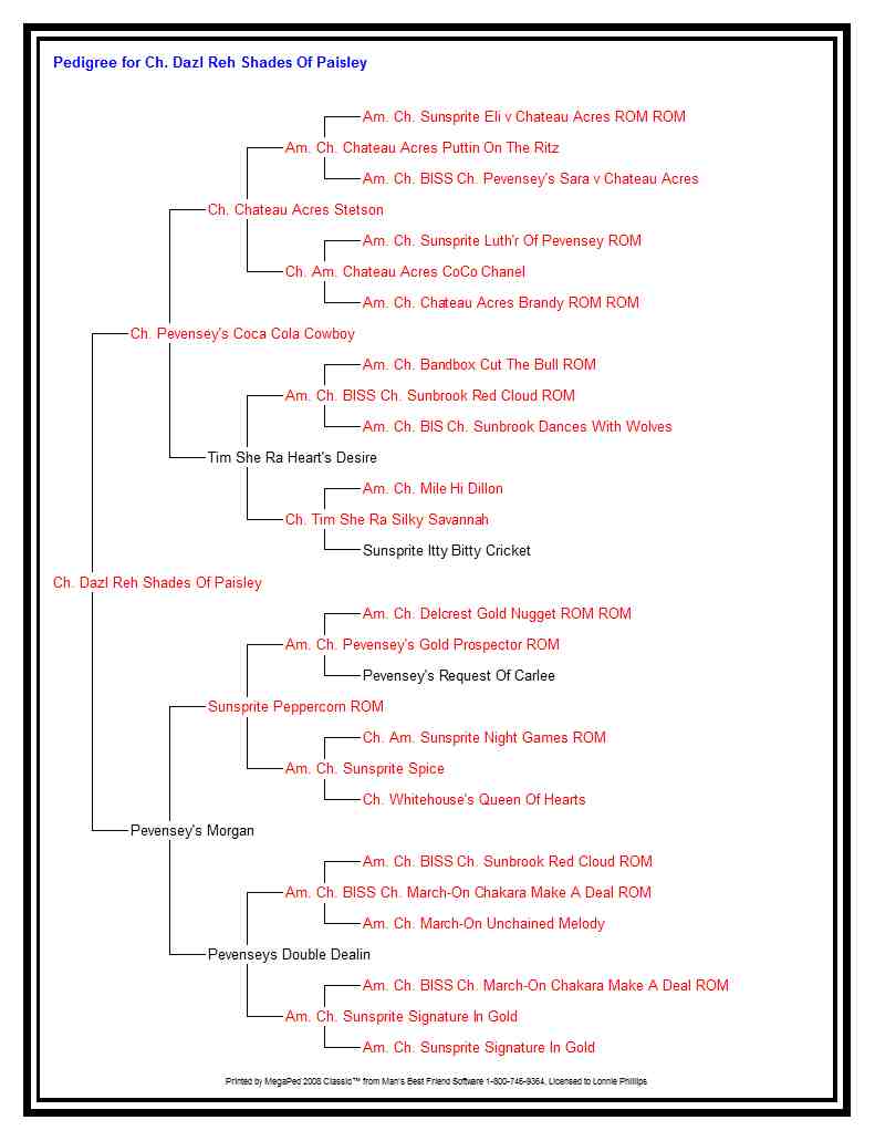PaisleyPedigree.jpg